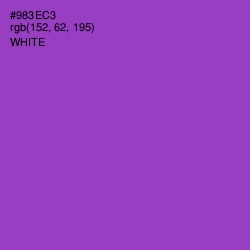 #983EC3 - Electric Violet Color Image