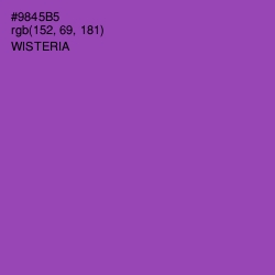 #9845B5 - Wisteria Color Image