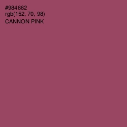 #984662 - Cannon Pink Color Image