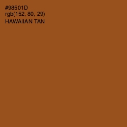 #98501D - Hawaiian Tan Color Image