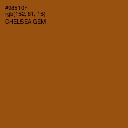 #98510F - Chelsea Gem Color Image