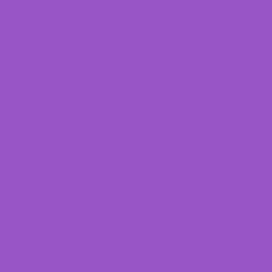 #9855C6 - Amethyst Color Image