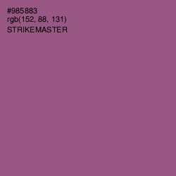 #985883 - Strikemaster Color Image
