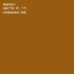 #985B11 - Hawaiian Tan Color Image