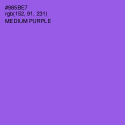 #985BE7 - Medium Purple Color Image