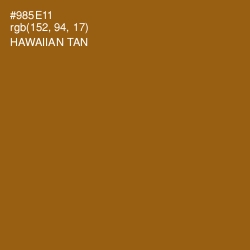 #985E11 - Hawaiian Tan Color Image