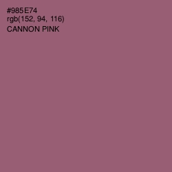 #985E74 - Cannon Pink Color Image