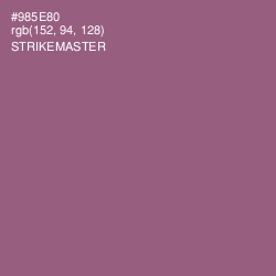 #985E80 - Strikemaster Color Image