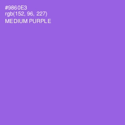 #9860E3 - Medium Purple Color Image