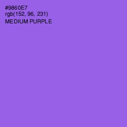 #9860E7 - Medium Purple Color Image