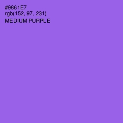 #9861E7 - Medium Purple Color Image