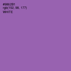 #9862B1 - Wisteria Color Image