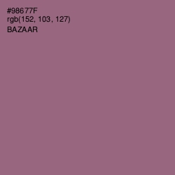 #98677F - Bazaar Color Image