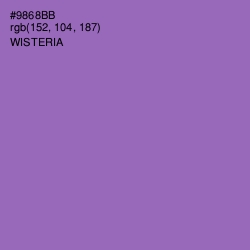 #9868BB - Wisteria Color Image