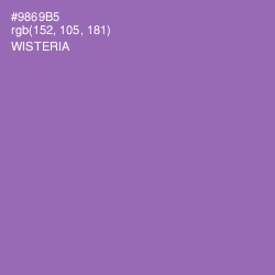 #9869B5 - Wisteria Color Image