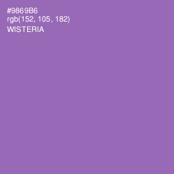 #9869B6 - Wisteria Color Image