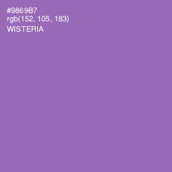 #9869B7 - Wisteria Color Image