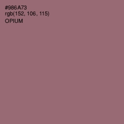 #986A73 - Opium Color Image