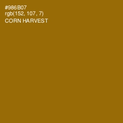 #986B07 - Corn Harvest Color Image