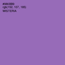 #986BB9 - Wisteria Color Image