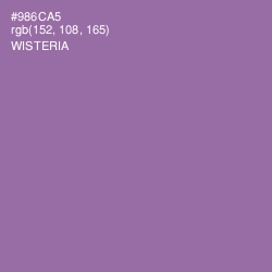 #986CA5 - Wisteria Color Image