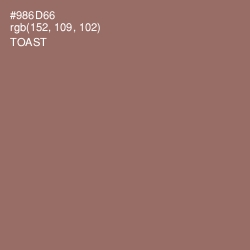 #986D66 - Toast Color Image