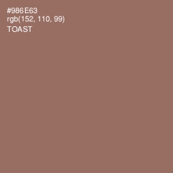 #986E63 - Toast Color Image