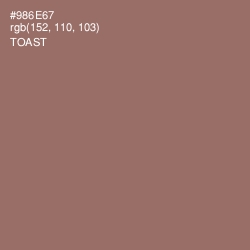 #986E67 - Toast Color Image