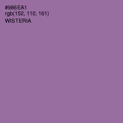 #986EA1 - Wisteria Color Image