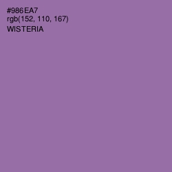 #986EA7 - Wisteria Color Image