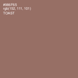 #986F65 - Toast Color Image