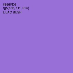 #986FD6 - Lilac Bush Color Image