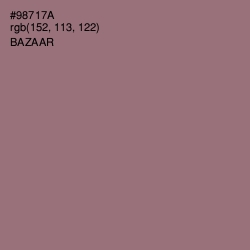 #98717A - Bazaar Color Image