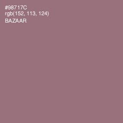 #98717C - Bazaar Color Image