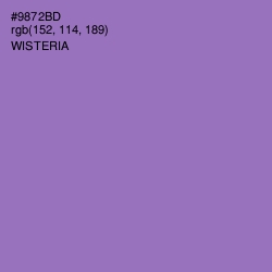 #9872BD - Wisteria Color Image