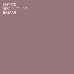 #98747D - Bazaar Color Image