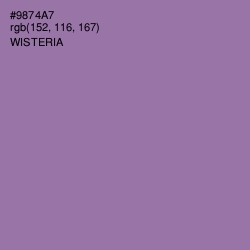 #9874A7 - Wisteria Color Image