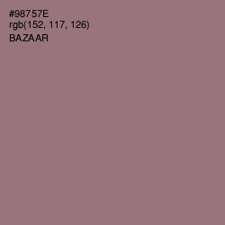 #98757E - Bazaar Color Image