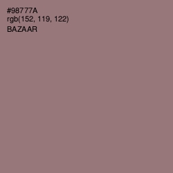 #98777A - Bazaar Color Image