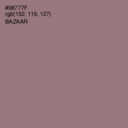 #98777F - Bazaar Color Image