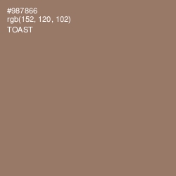 #987866 - Toast Color Image