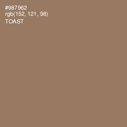 #987962 - Toast Color Image