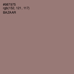 #987975 - Bazaar Color Image