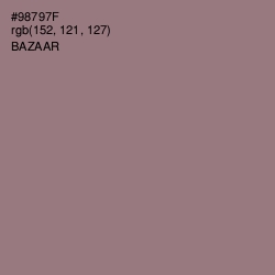 #98797F - Bazaar Color Image