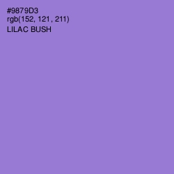 #9879D3 - Lilac Bush Color Image