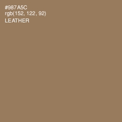 #987A5C - Leather Color Image