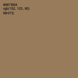 #987B5A - Leather Color Image