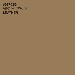 #987C59 - Leather Color Image