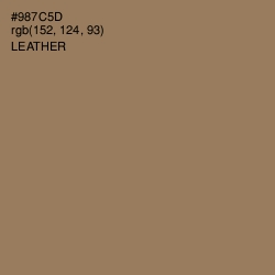 #987C5D - Leather Color Image