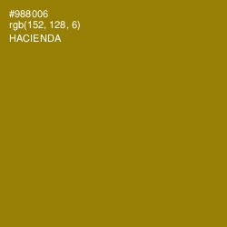 #988006 - Hacienda Color Image